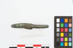 Foto von Bronzering (NHMW-PRAE-026636)